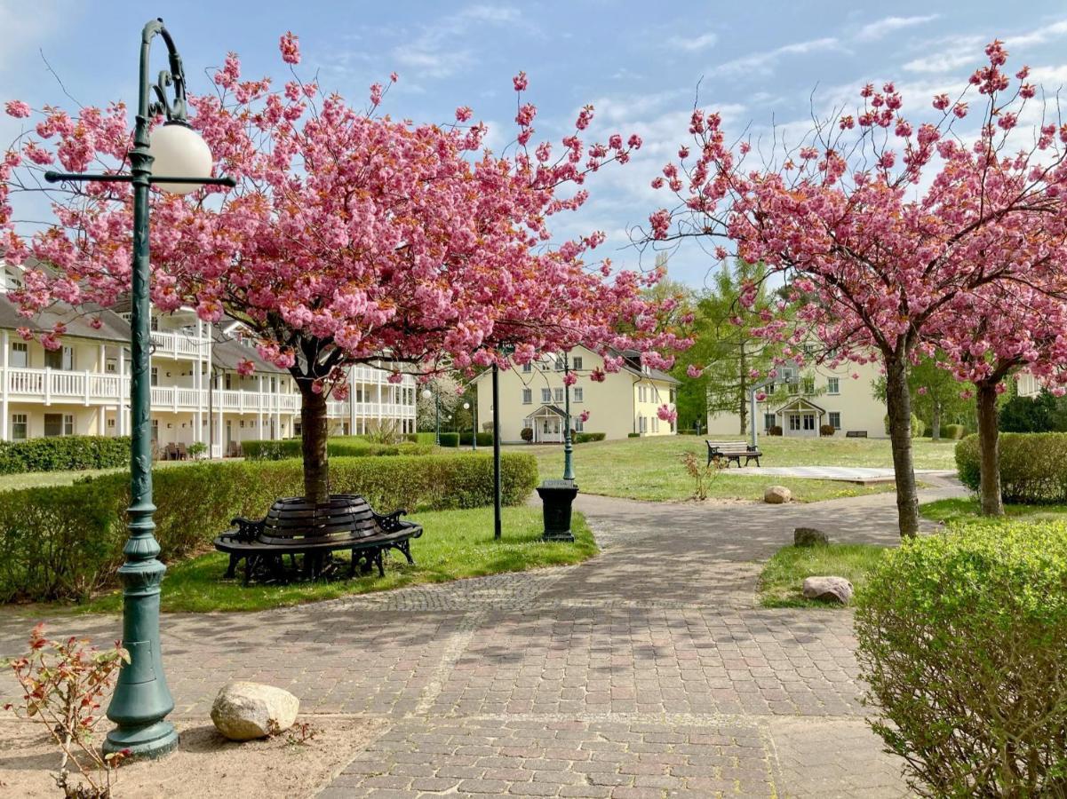 Duenenpark Binz - Wg 40 "Treibgut" Apartman Kültér fotó