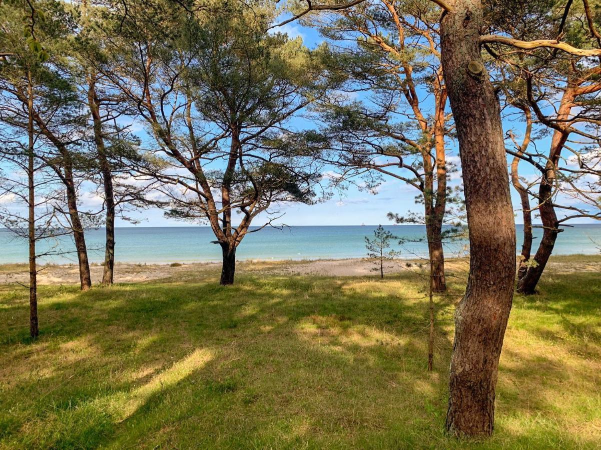 Duenenpark Binz - Wg 40 "Treibgut" Apartman Kültér fotó